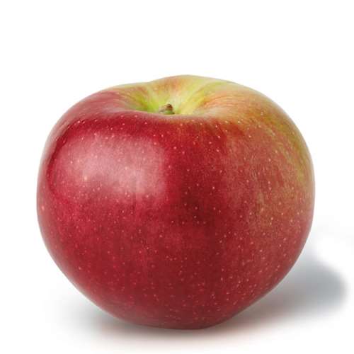 Macoun Apple